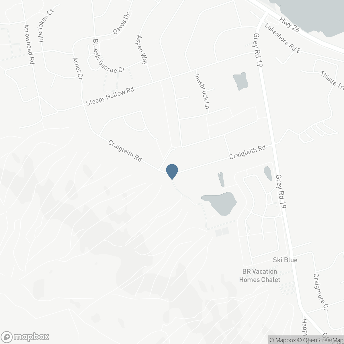 163 CRAIGLEITH ROAD, The Blue Mountains, Ontario L9Y 0S4